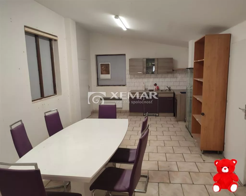 Výrobný objekt na prenájom 660m2, Nemčianska cesta, Nemce, 149427_4