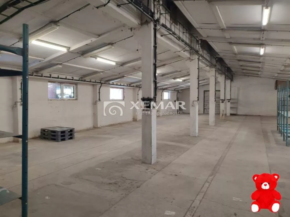 Výrobný objekt na prenájom 660m2, Nemčianska cesta, Nemce, 149427_5