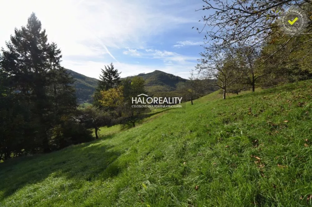 Rodinný dom na predaj 360m2, Nová Baňa, 146101_2