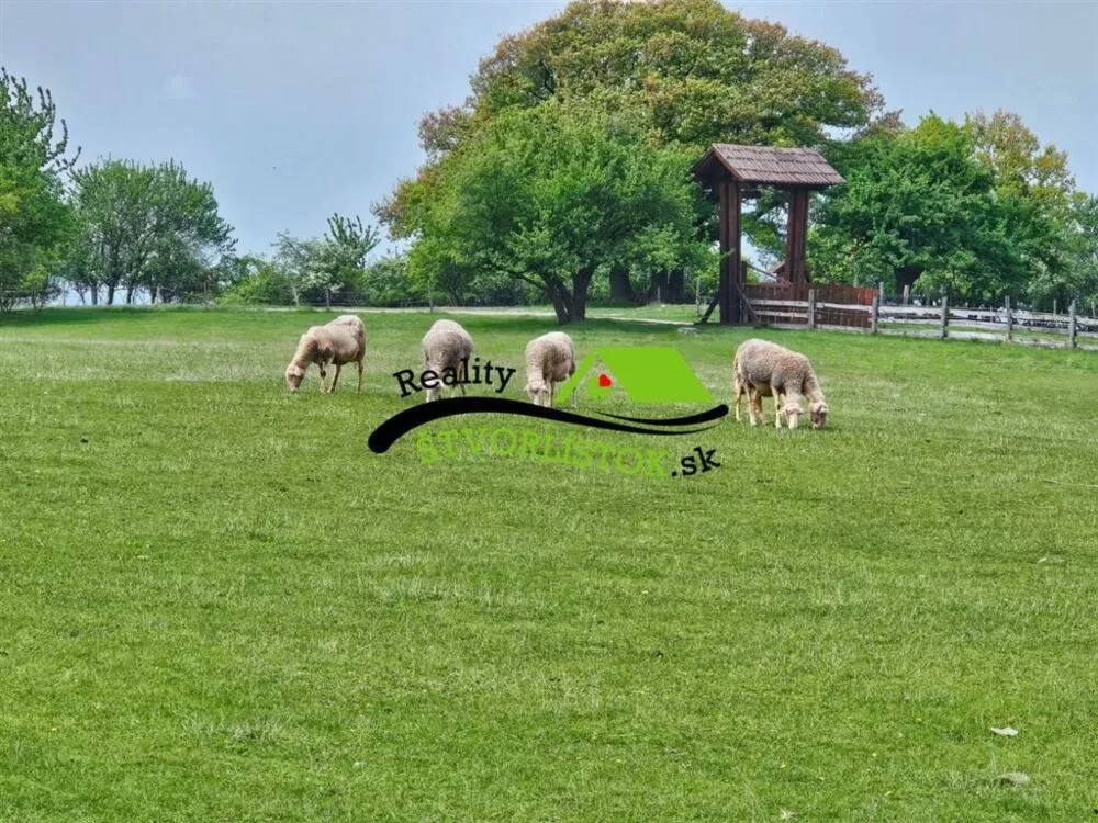 Rodinný dom na predaj 905m2, Zlatnícka Dolina, Skalica, 150356_12