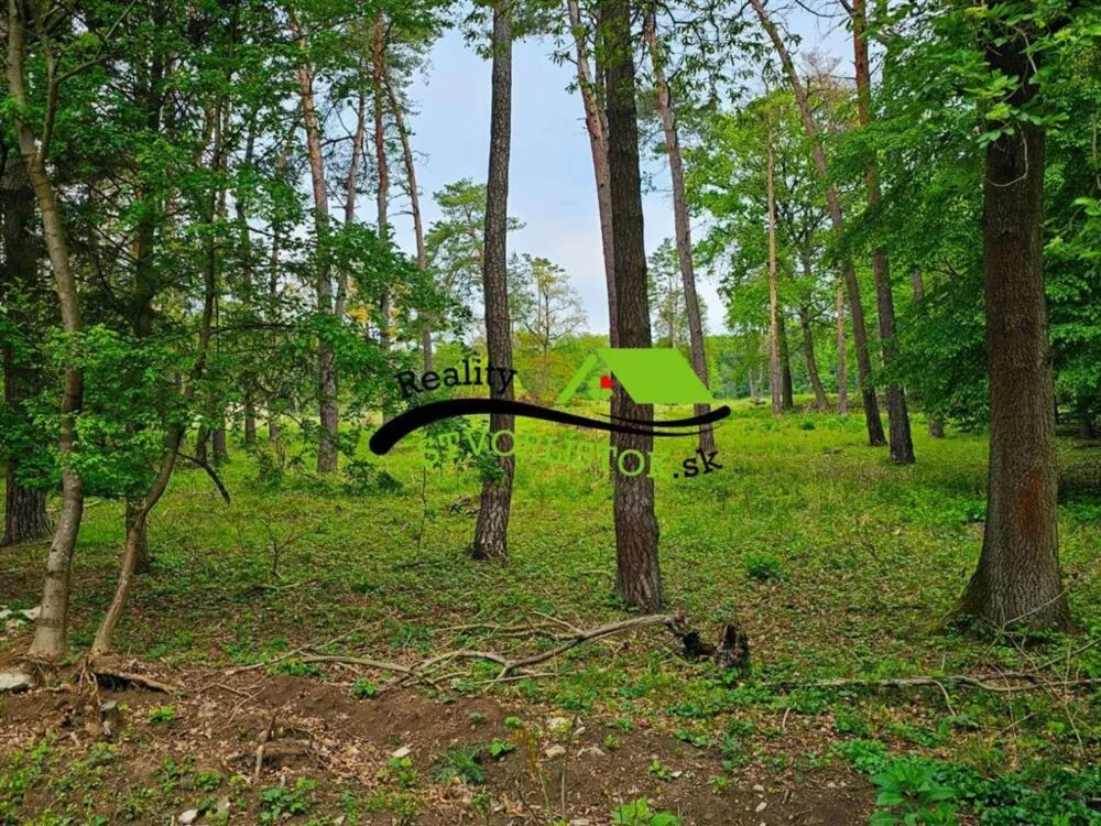 Rodinný dom na predaj 905m2, Zlatnícka Dolina, Skalica, 150356_14