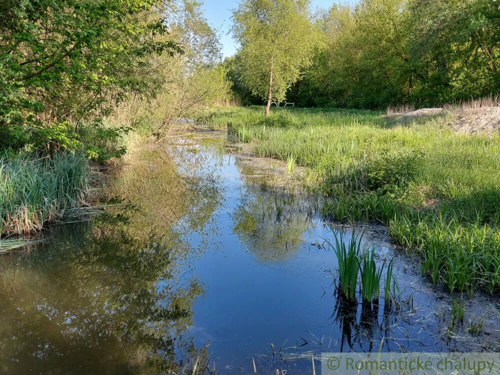 Vidiecky dom na predaj 70m2, Nová Vieska, 148153_35