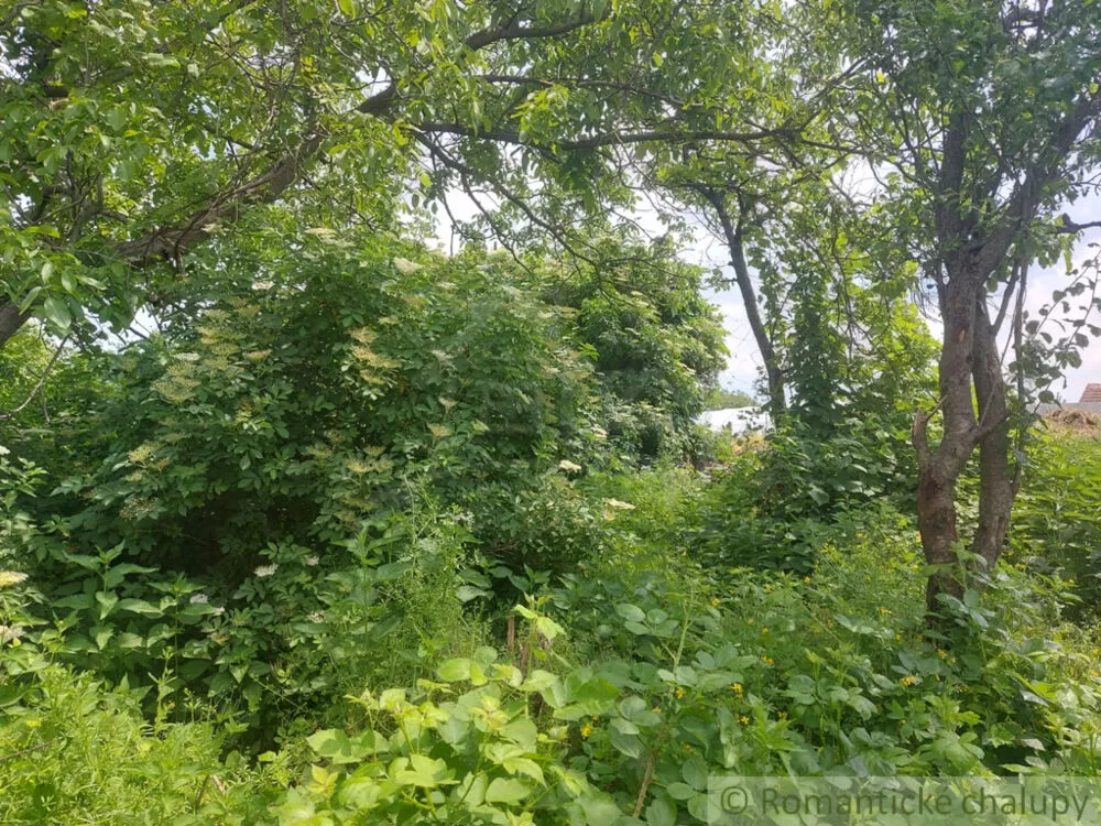 Záhrada na predaj 1016m2, Moča, 131756_3