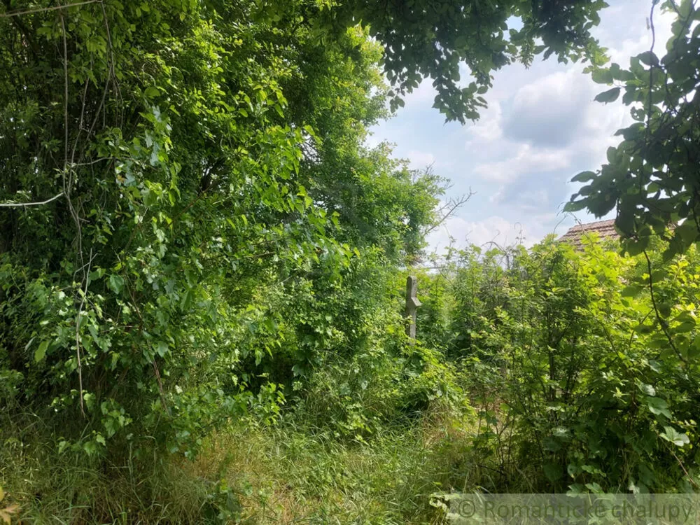 Záhrada na predaj 1016m2, Moča, 131756_6