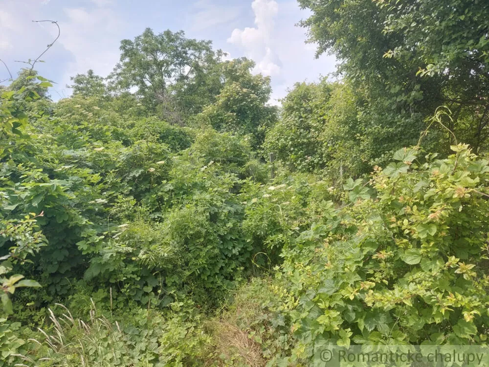 Záhrada na predaj 1016m2, Moča, 131756_8