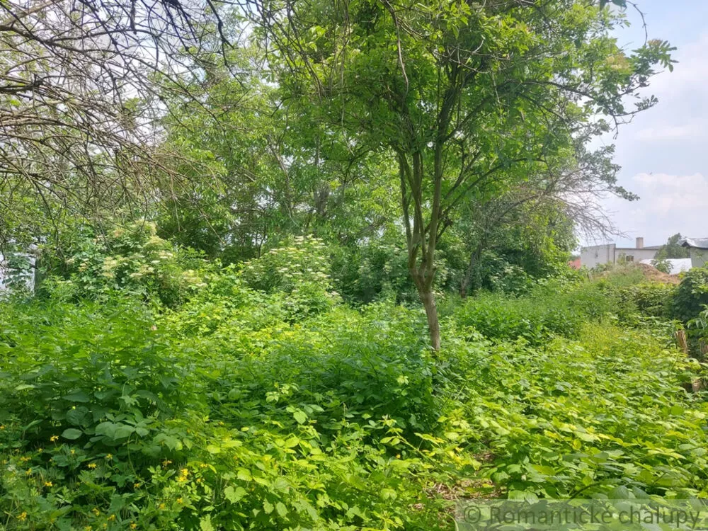 Záhrada na predaj 1016m2, Moča, 131756_9