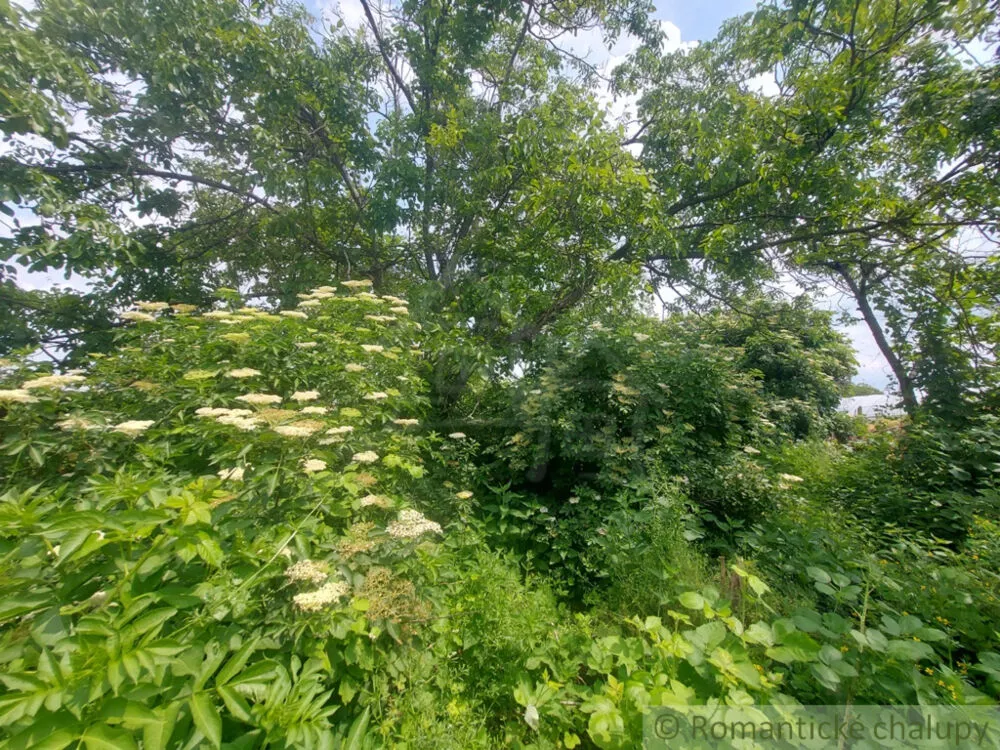 Záhrada na predaj 1016m2, Moča, 131756_10