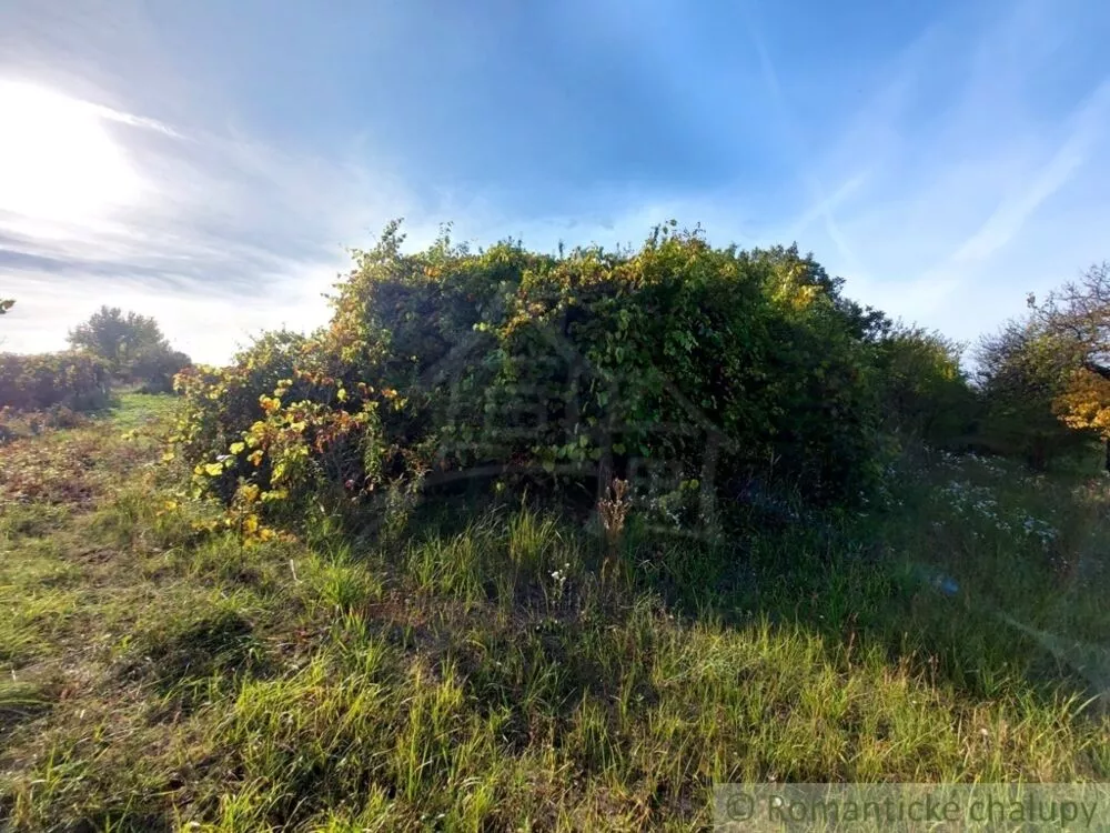 Záhrada na predaj 515m2, Moča, 119307_0