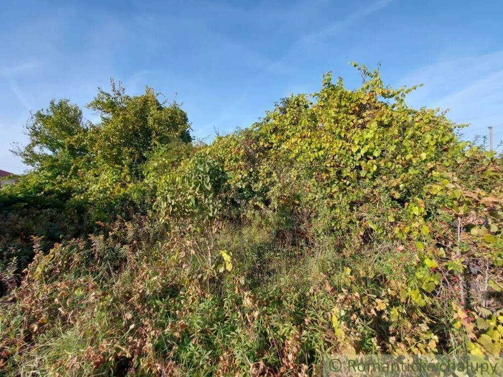 Záhrada na predaj 515m2, Moča, 119307_2