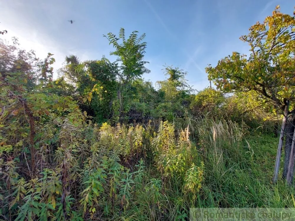 Záhrada na predaj 515m2, Moča, 119307_4