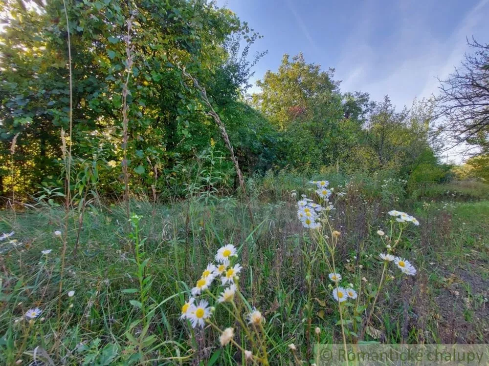 Záhrada na predaj 515m2, Moča, 119307_5