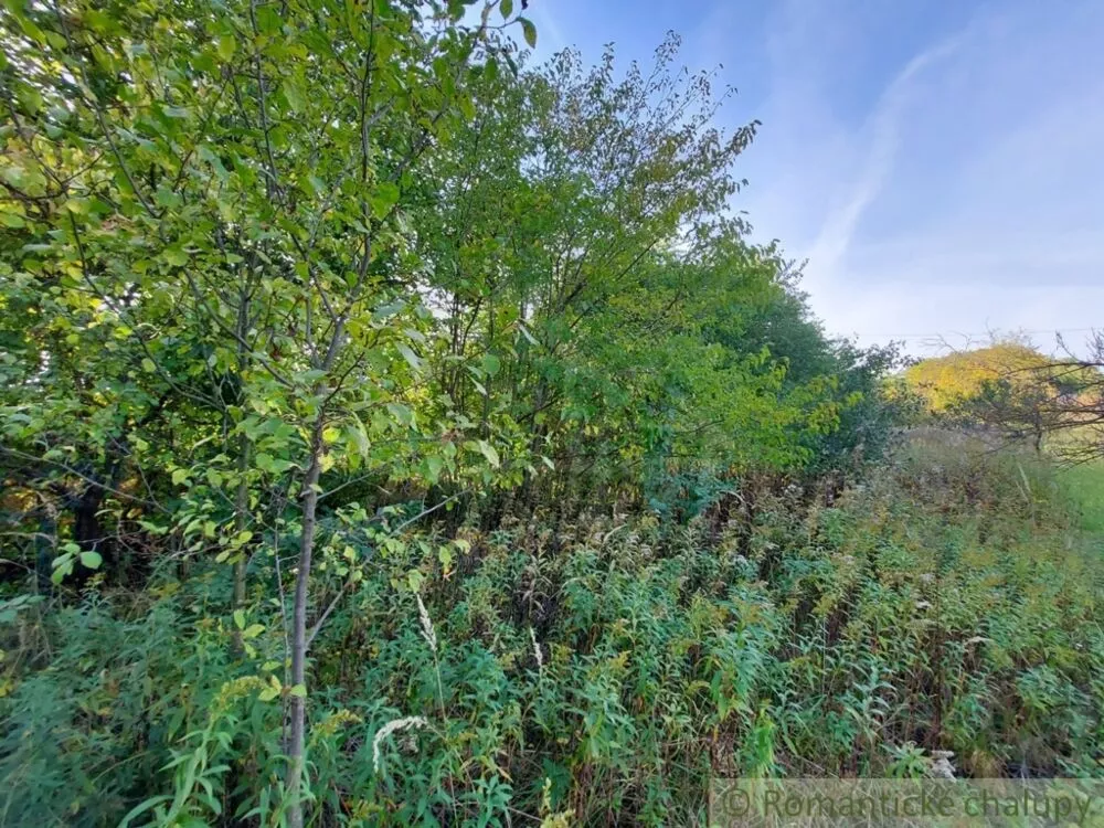 Záhrada na predaj 515m2, Moča, 119307_6