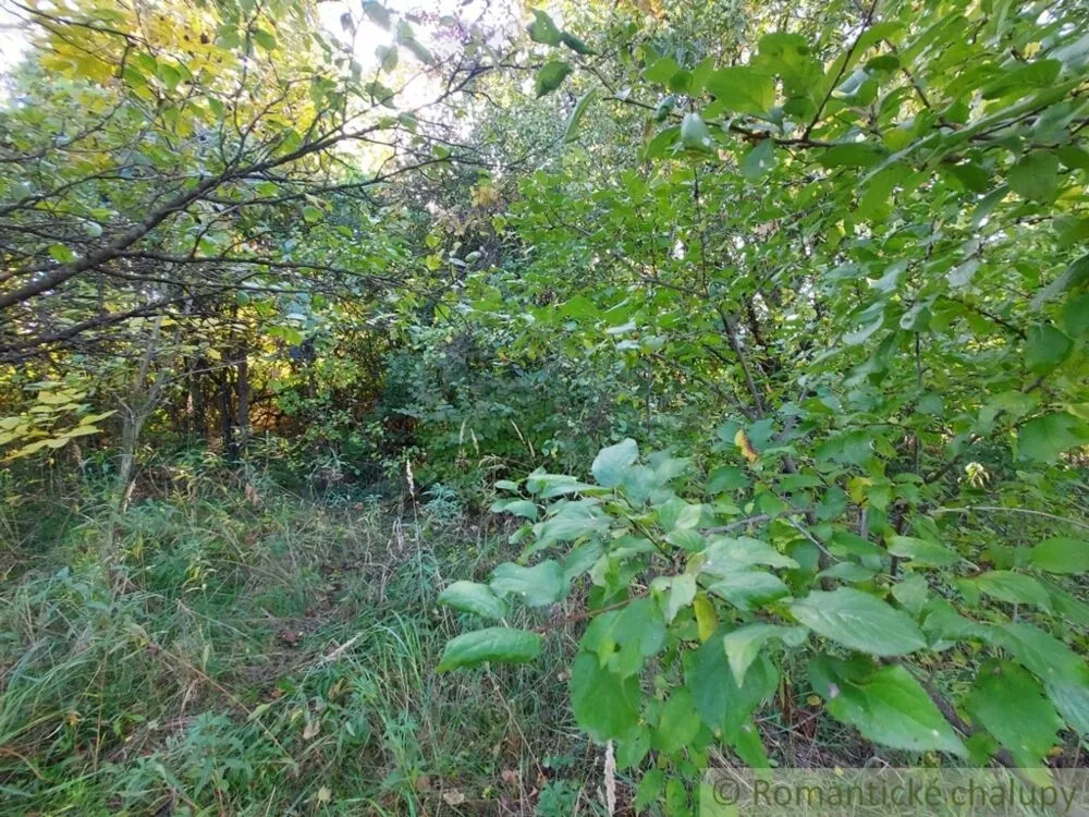 Záhrada na predaj 515m2, Moča, 119307_7