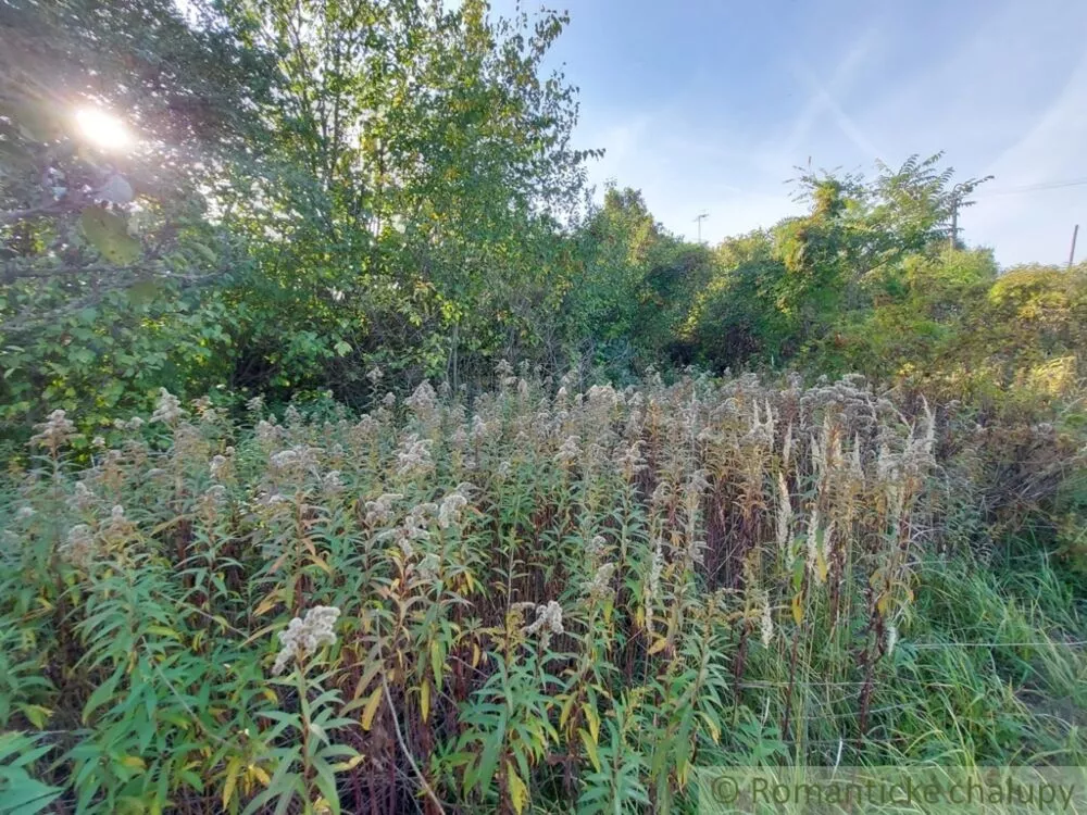 Záhrada na predaj 515m2, Moča, 119307_8