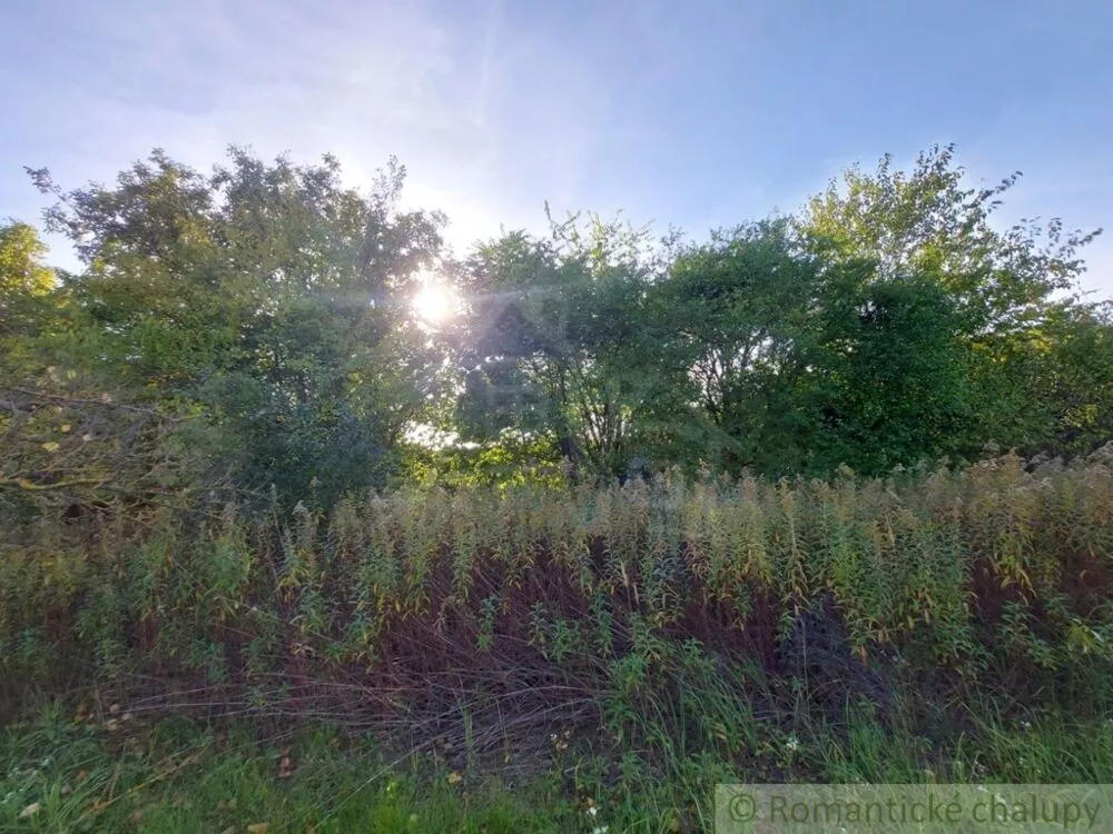 Záhrada na predaj 515m2, Moča, 119307_9