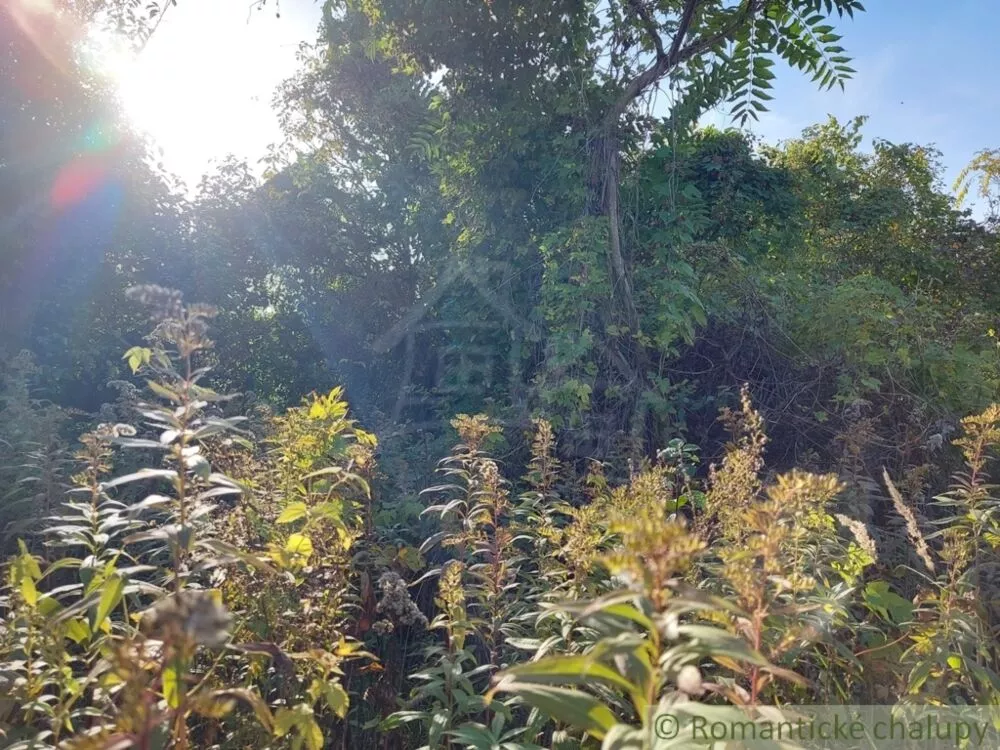 Záhrada na predaj 515m2, Moča, 119307_10