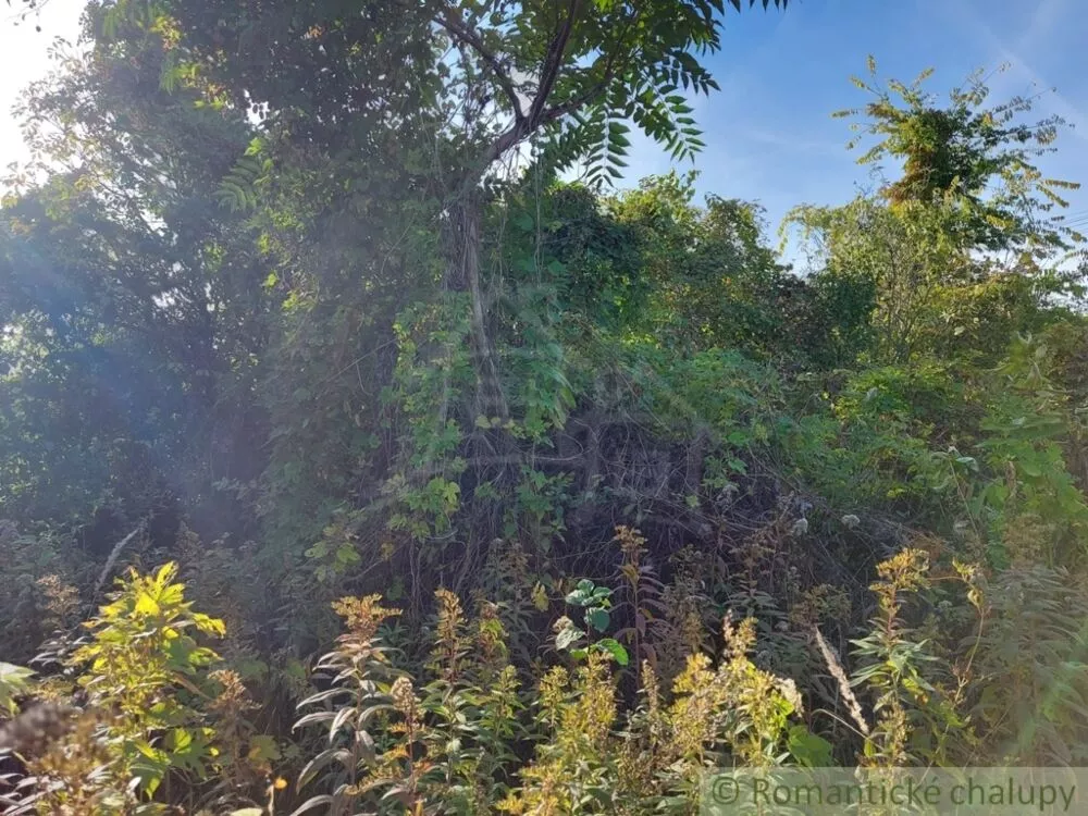 Záhrada na predaj 515m2, Moča, 119307_11