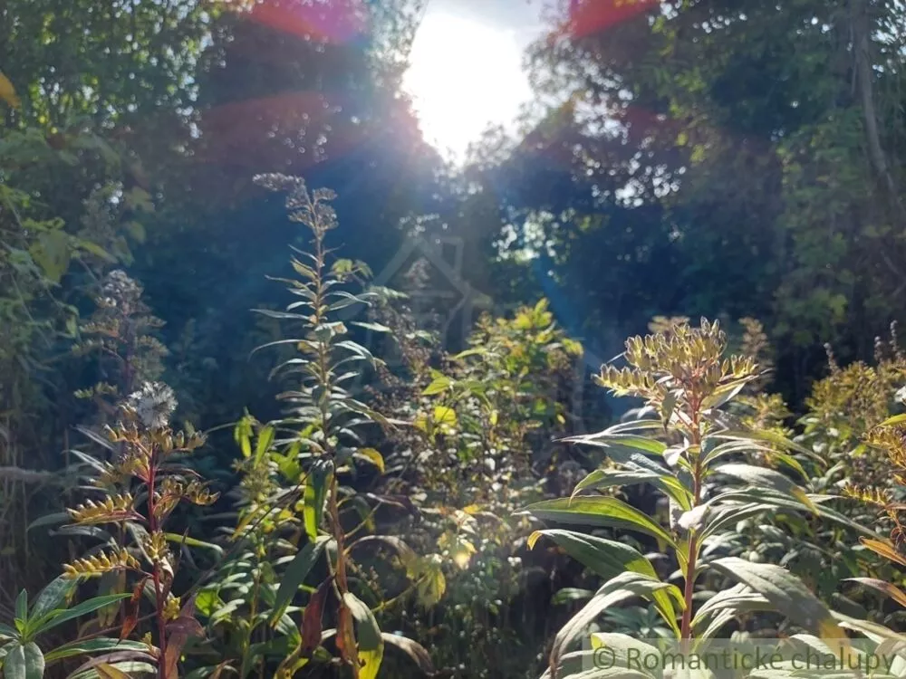 Záhrada na predaj 515m2, Moča, 119307_12