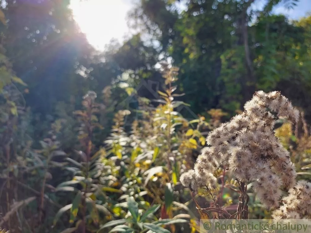 Záhrada na predaj 515m2, Moča, 119307_13