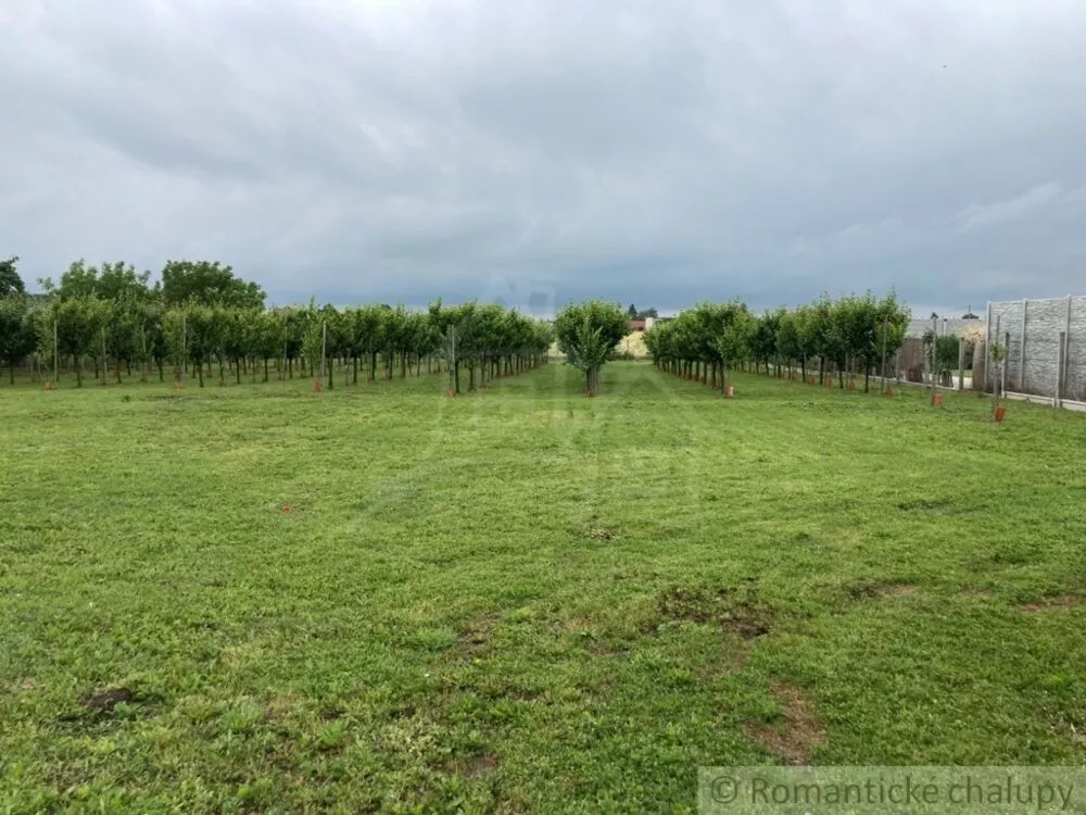 Záhrada na predaj 2492m2, Branovo, 125499_2