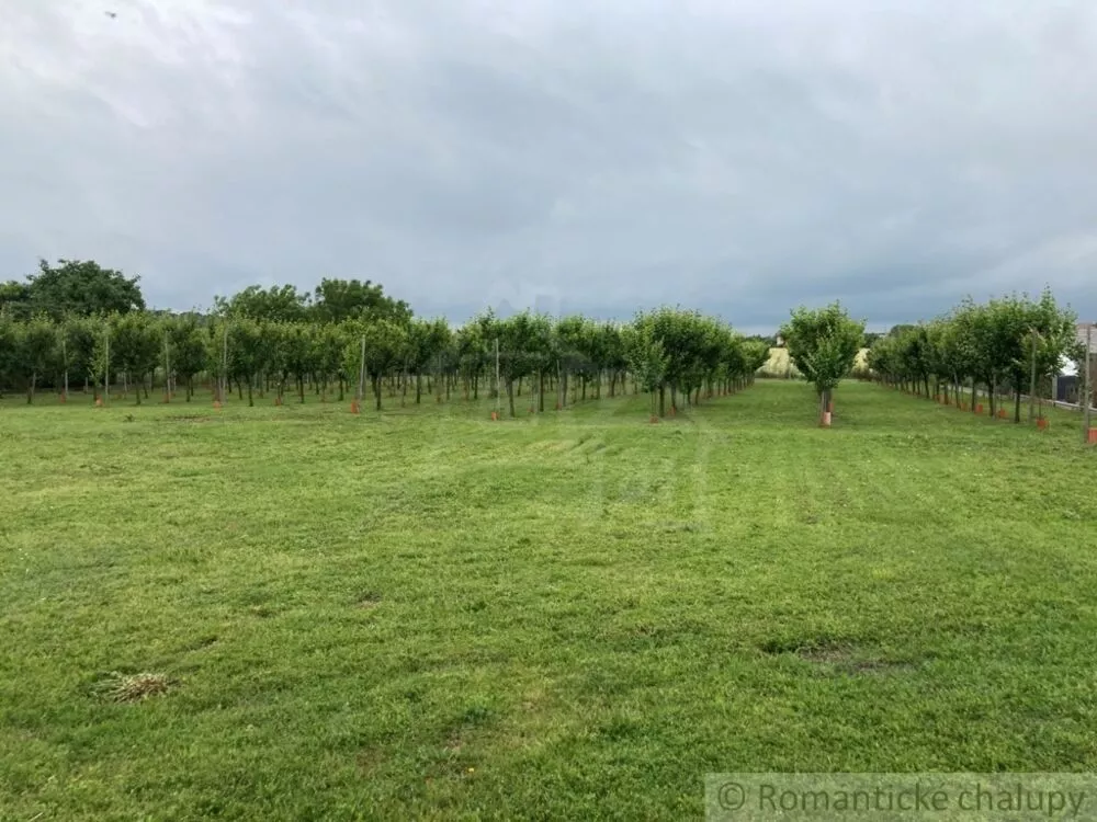 Záhrada na predaj 2492m2, Branovo, 125499_5