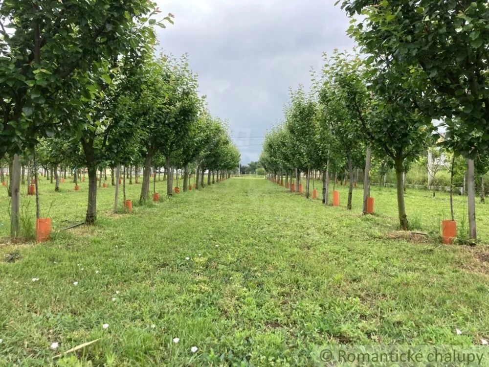 Záhrada na predaj 2492m2, Branovo, 125499_8