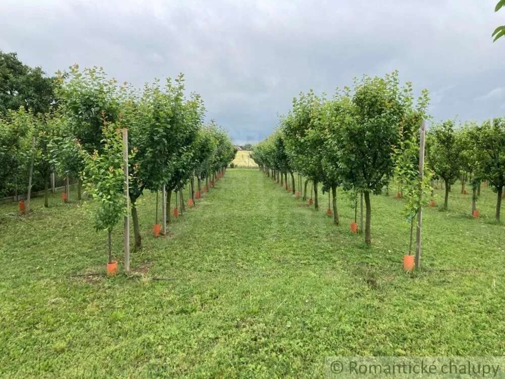 Záhrada na predaj 2492m2, Branovo, 125499_9