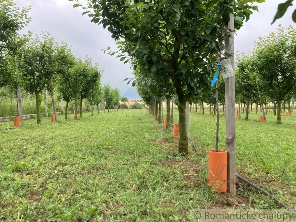 Záhrada na predaj 2492m2, Branovo, 125499_12