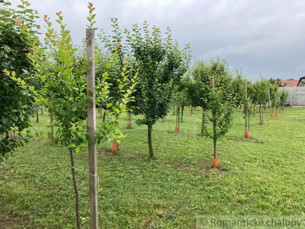 Záhrada na predaj 2492m2, Branovo, 125499_17