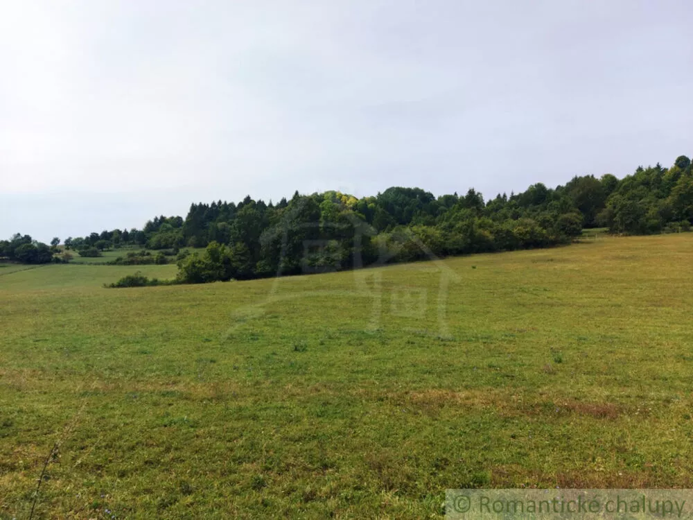 Lúka, pasienok na predaj 7367m2, Horná Lehota, 146264_5