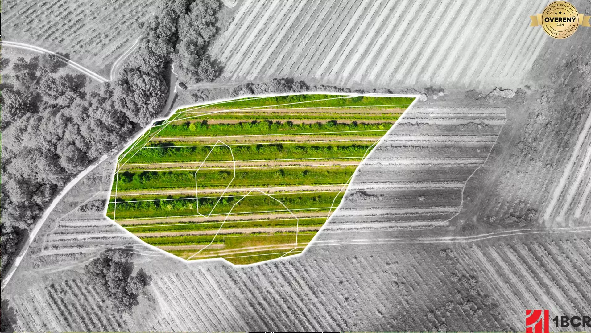 Chmelnica, vinica na predaj 9312m2, Pezinok, 152576_0