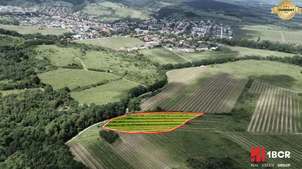 Chmelnica, vinica na predaj 9312m2, Pezinok, 152576_1