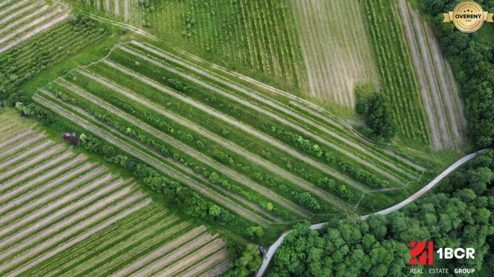 Chmelnica, vinica na predaj 9312m2, Pezinok, 152576_2