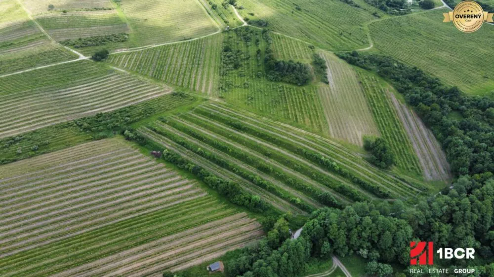 Chmelnica, vinica na predaj 9312m2, Pezinok, 152576_3