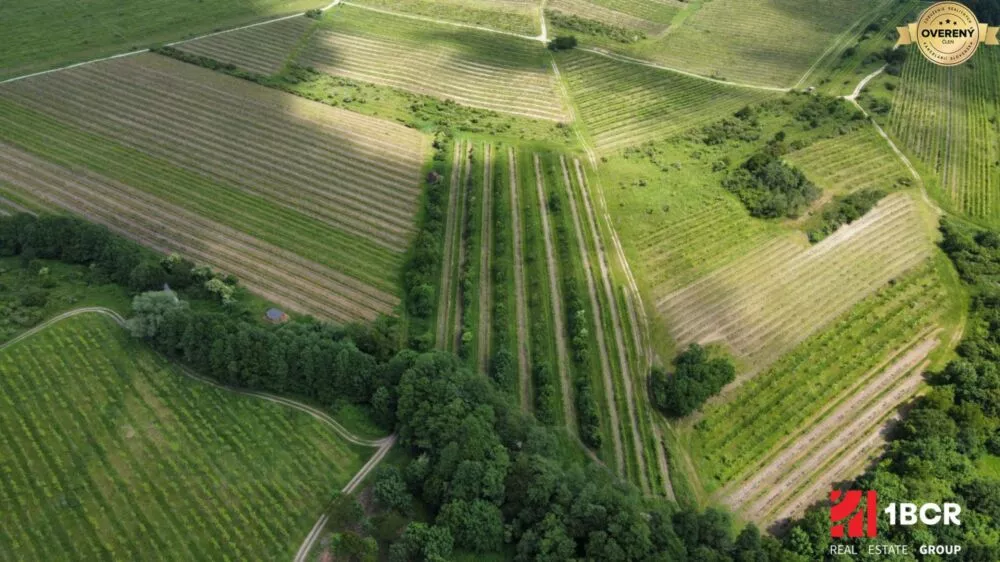 Chmelnica, vinica na predaj 9312m2, Pezinok, 152576_4
