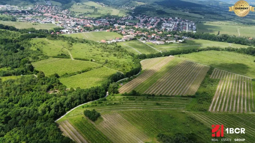 Chmelnica, vinica na predaj 9312m2, Pezinok, 152576_6