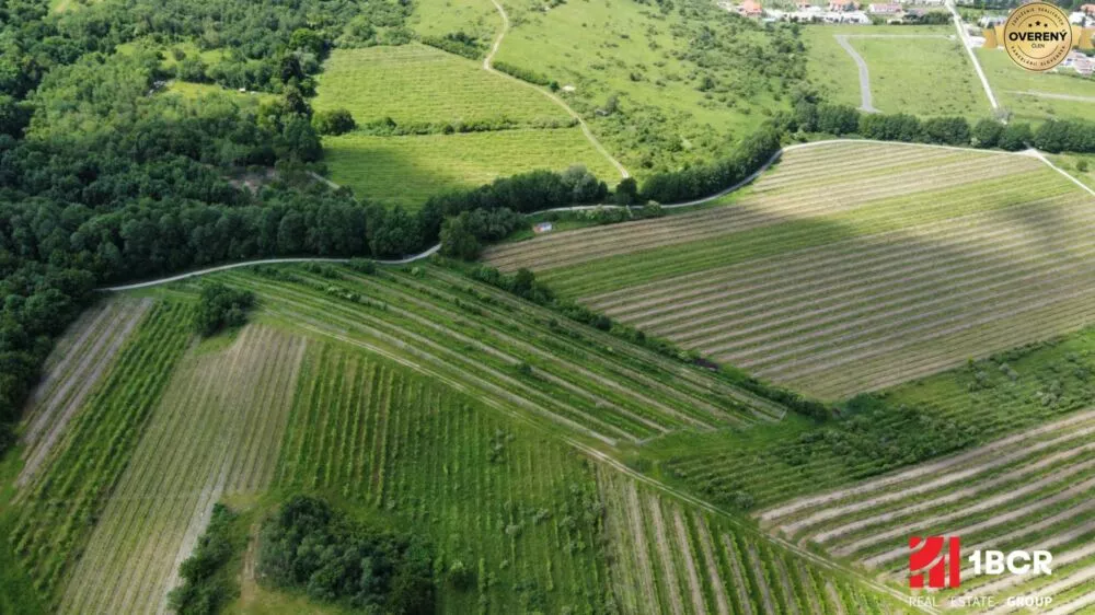 Chmelnica, vinica na predaj 9312m2, Pezinok, 152576_7