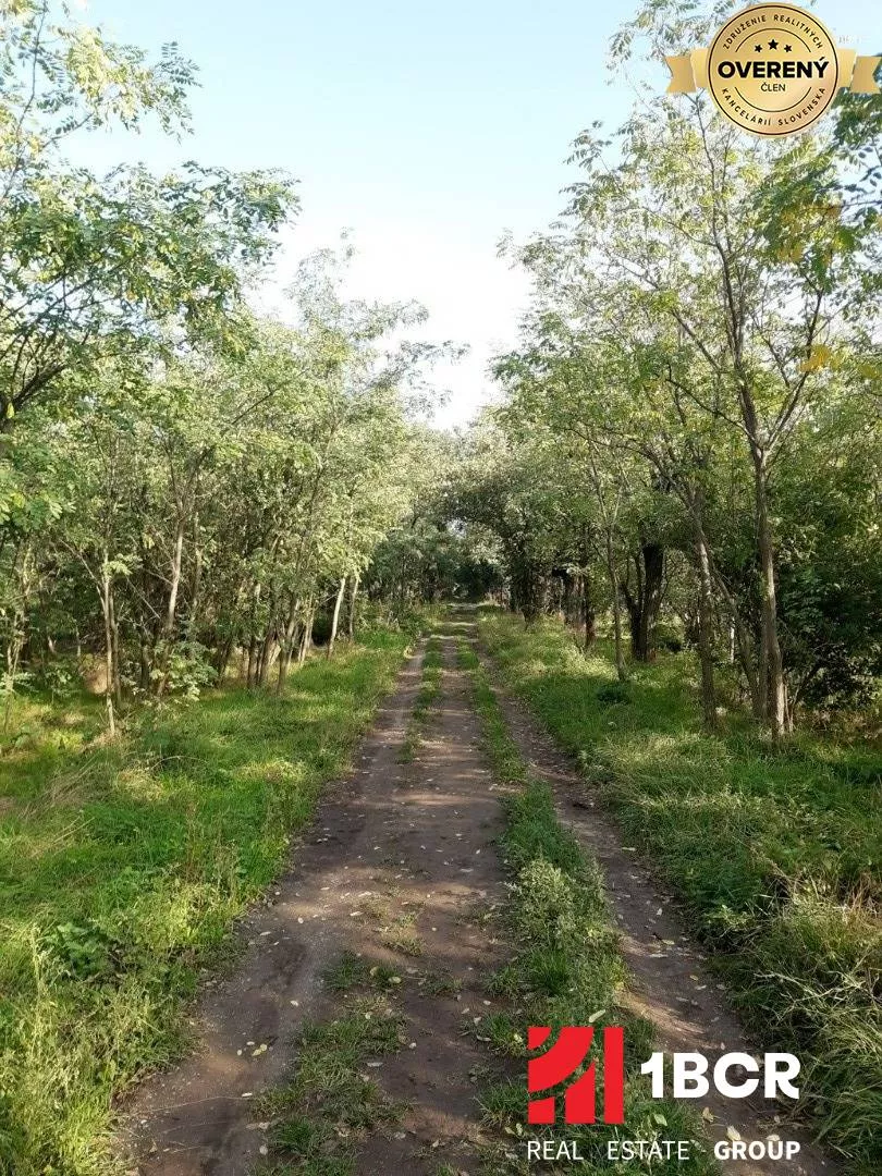 Iný poľnohosp. pozemok na predaj 28626m2, Južná, Miloslavov, 152731_0