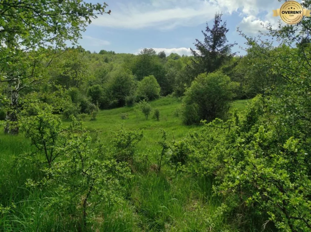 Pozemok pre rod. domy na predaj 6047m2, Šútovo, 152867_0