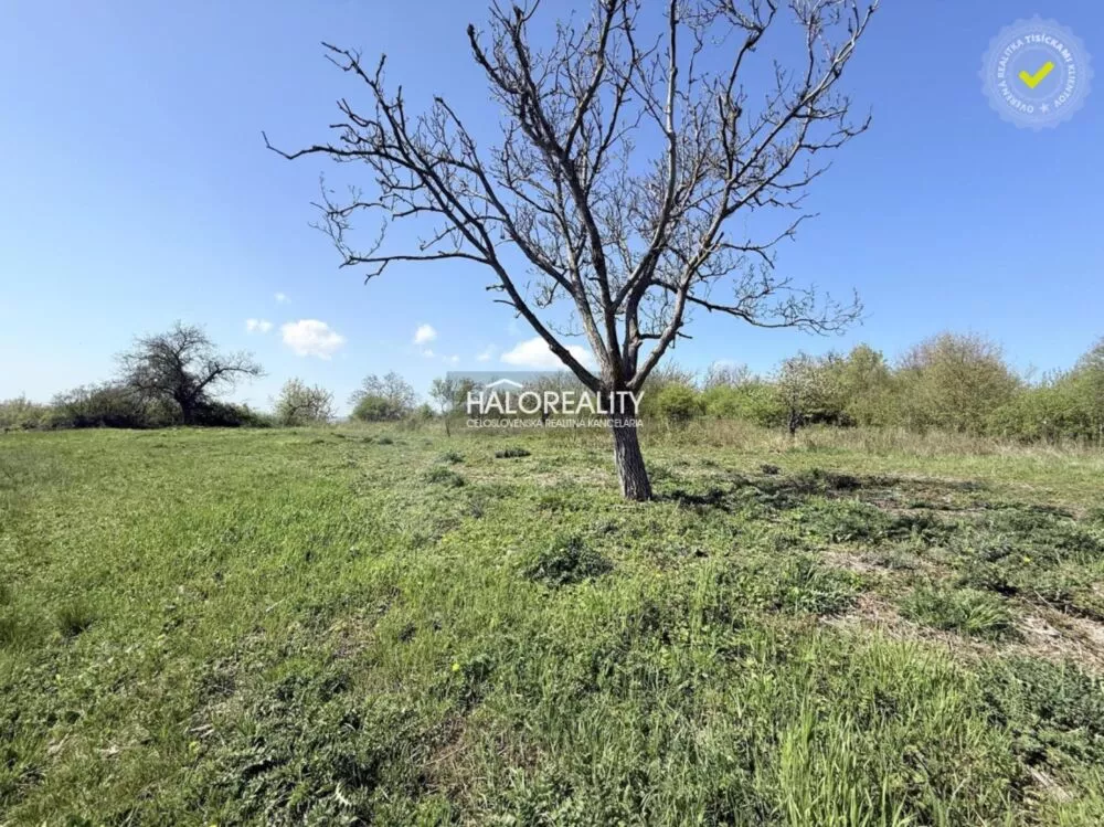 Záhrada na predaj 860m2, Rybník, 152948_2