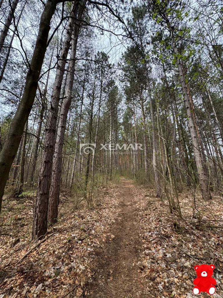 Záhradná chatka na predaj 393m2, Banská Bystrica, 152096_12