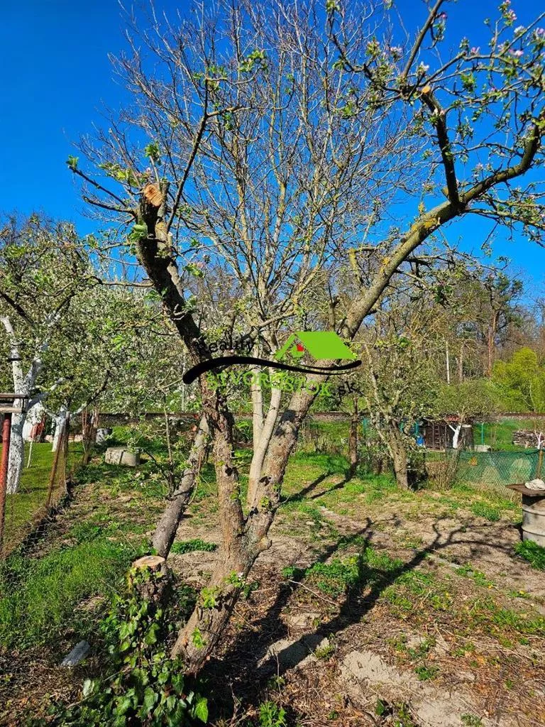 Záhradná chatka na predaj 388m2, ZO Bažantnica, Senica, 152954_6