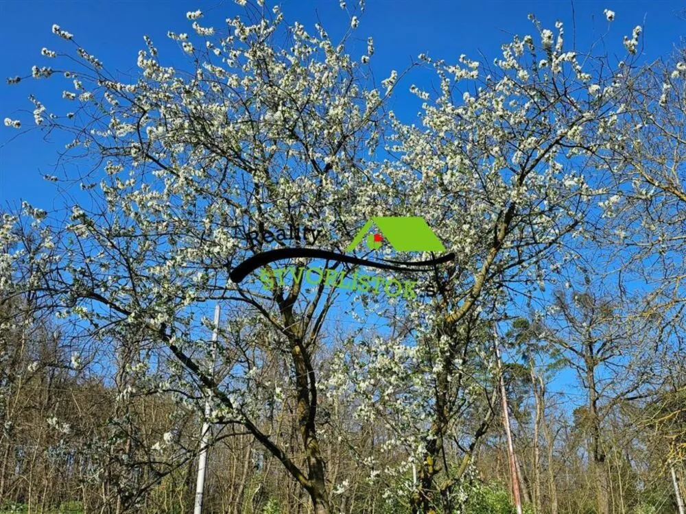 Záhradná chatka na predaj 388m2, ZO Bažantnica, Senica, 152954_7