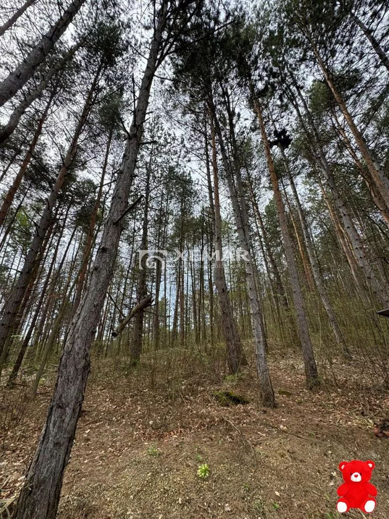 Záhradná chatka na predaj 393m2, Banská Bystrica, 152096_16