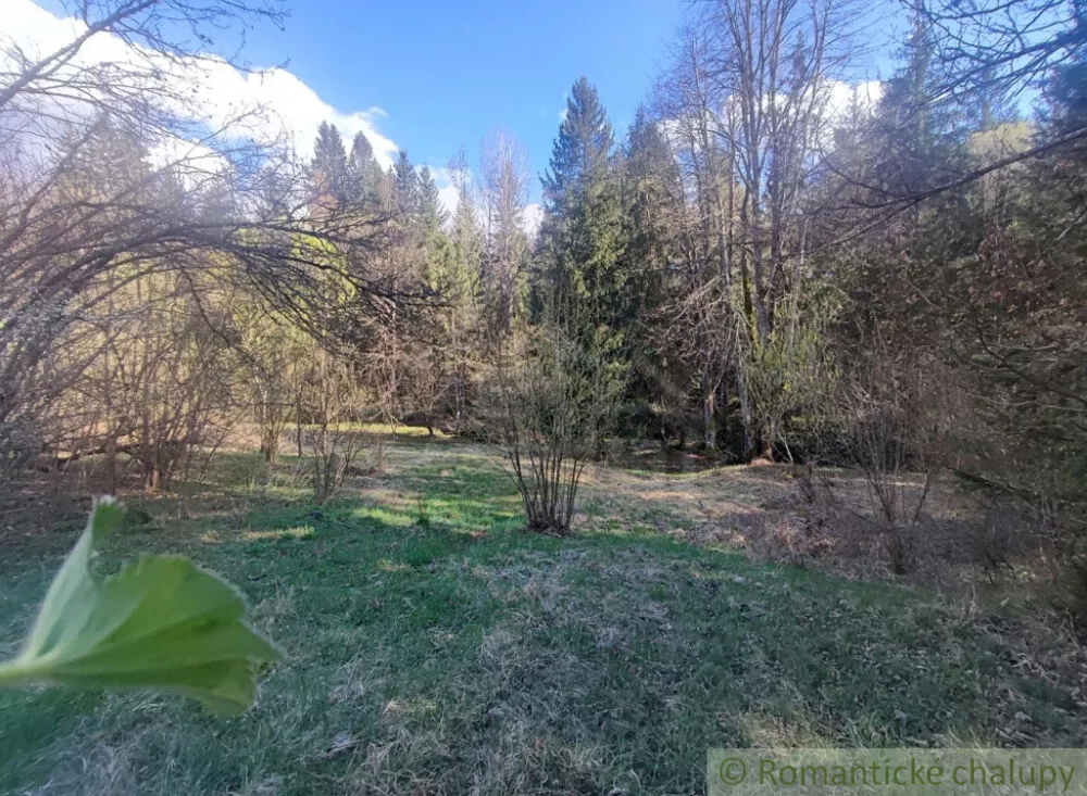 Lúka, pasienok na predaj 5500m2, , 152989_3