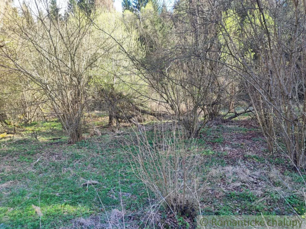 Lúka, pasienok na predaj 5500m2, , 152989_6