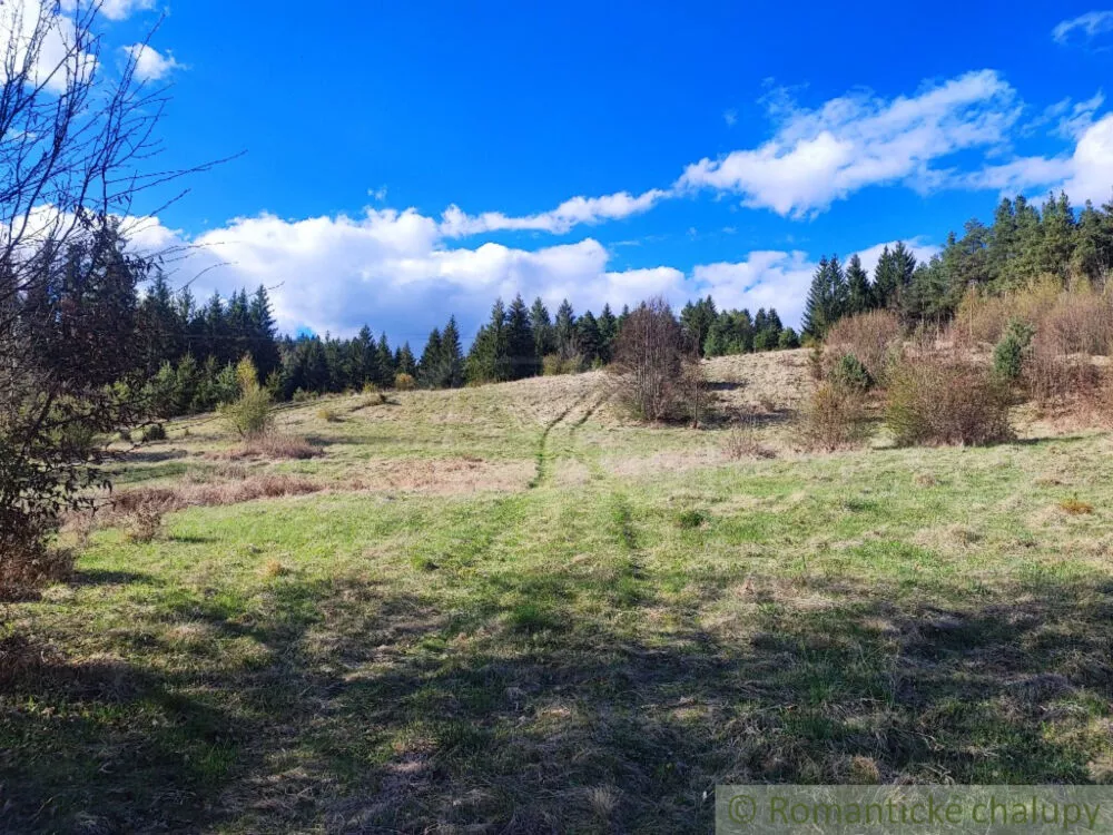 Lúka, pasienok na predaj 5500m2, , 152989_7