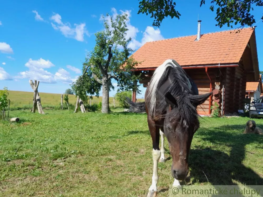 Zrubový dom na predaj 95m2, Zemiansky Vrbovok, 151650_0