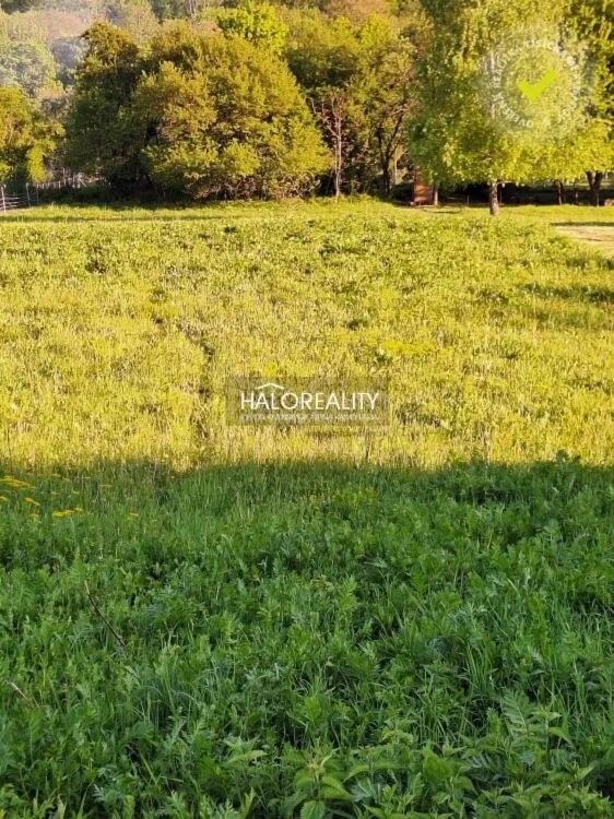Pozemok pre rod. domy na predaj 2039m2, Horné Orešany, 153212_1