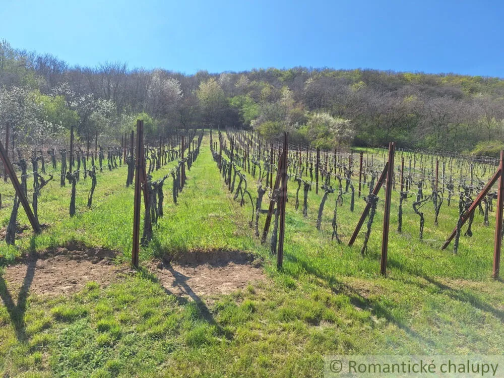 Poľnohosp. objekt na predaj 39m2, Nána, 153739_37